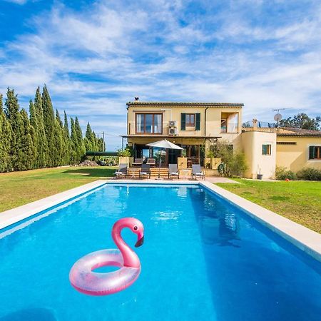 Traumhafte Finca Son Senyor - Mit Pferdekoppel Villa Sa Pobla Kültér fotó