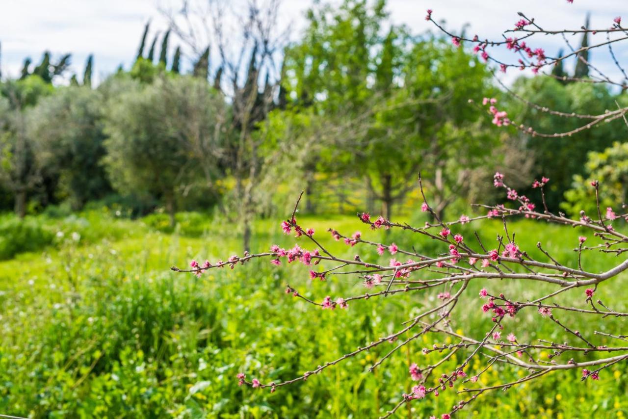 Traumhafte Finca Son Senyor - Mit Pferdekoppel Villa Sa Pobla Kültér fotó