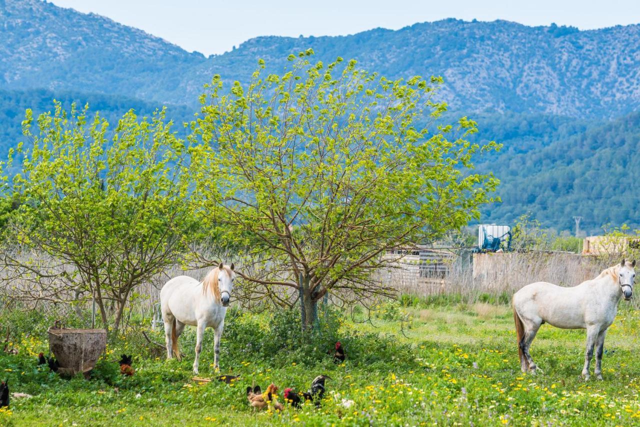 Traumhafte Finca Son Senyor - Mit Pferdekoppel Villa Sa Pobla Kültér fotó